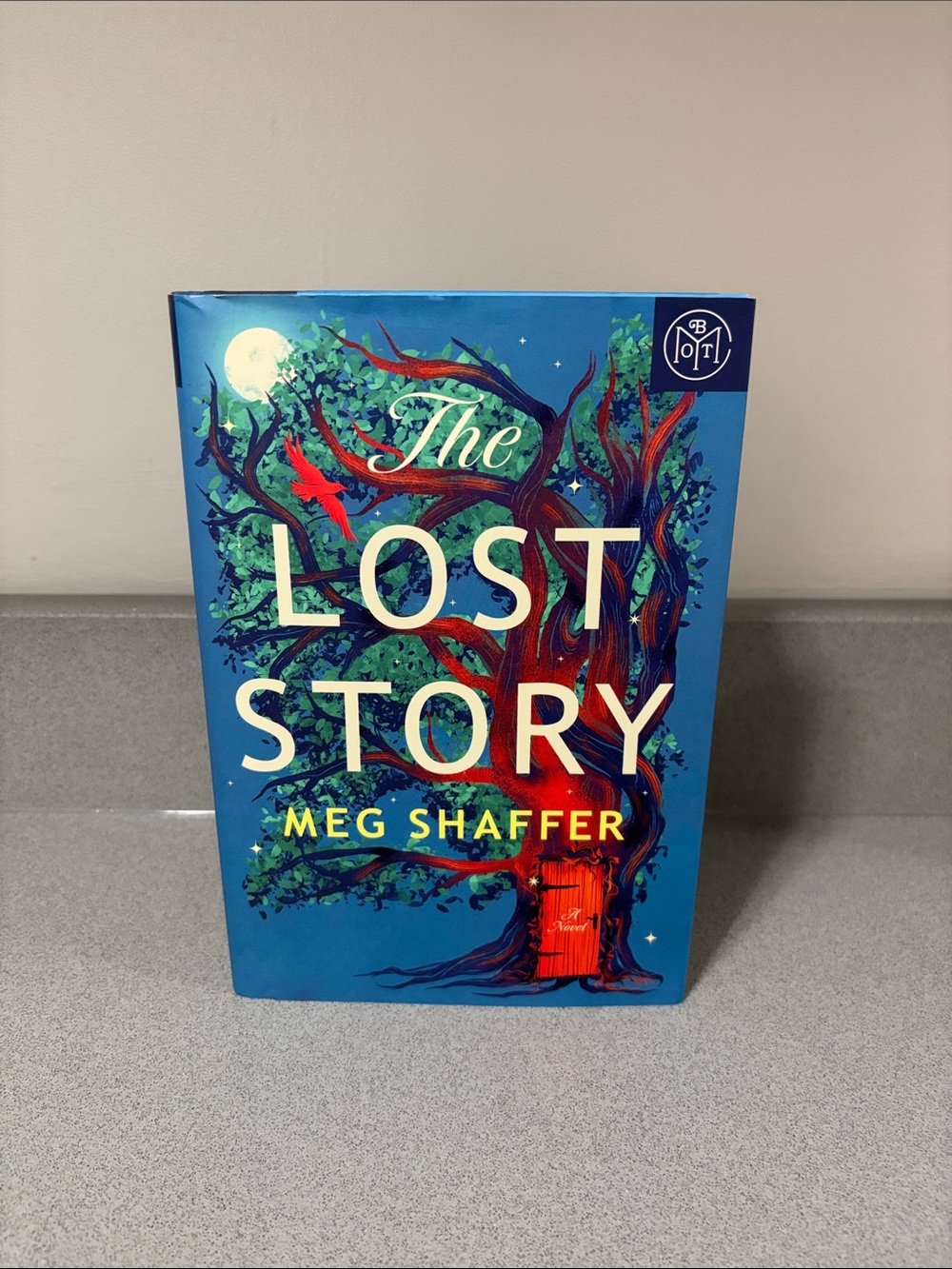 The lost story hardcover book